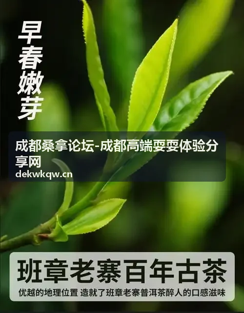 成都高端耍耍体验红黑榜与避雷清单封面